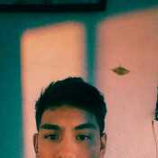 arley887