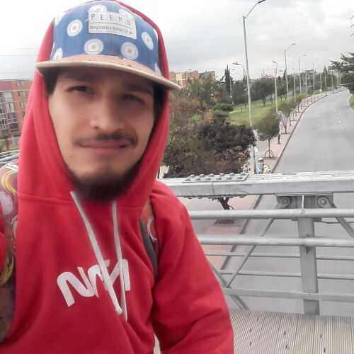 ronronnic425