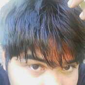 Gotchie