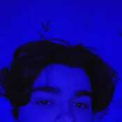 Zander