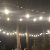 Dinoz28