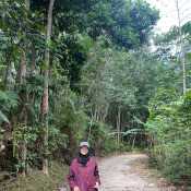 minohokame