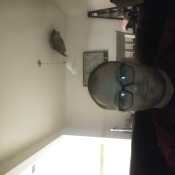 blankenshipbi382