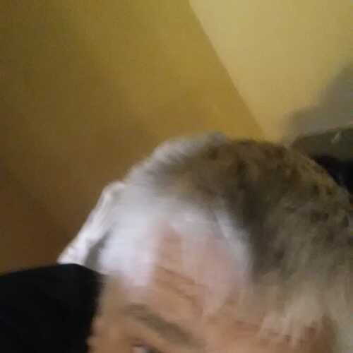 plrydb499