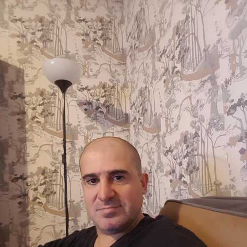 josedaq731
