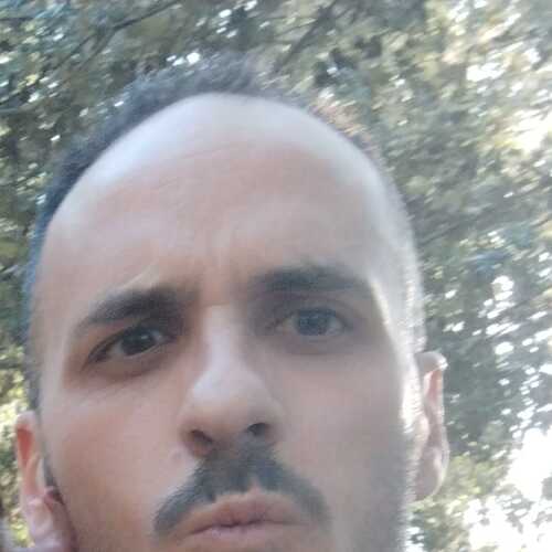 pedrito411