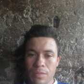 jose461
