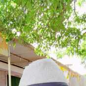 bhushanshivsh004
