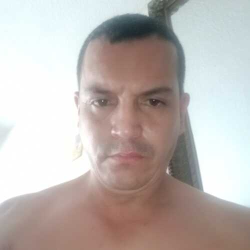 javer53