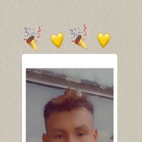 lirioper461