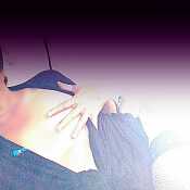 lauracdsi981