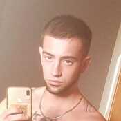 Berenjeno22