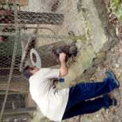 migue41