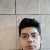 al3ert731