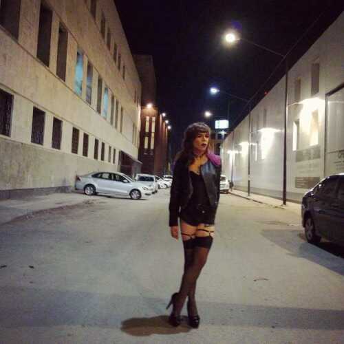 DaniRex
