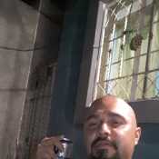 nestor2022