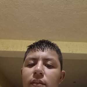 bbdbegbcbicceaig
