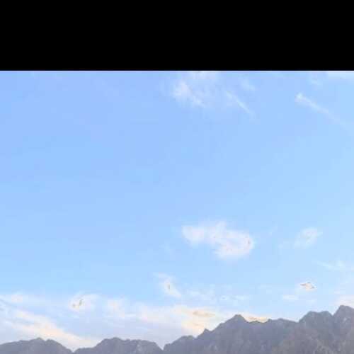 KindSurfer7fec9