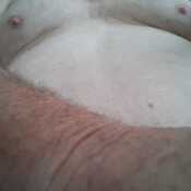 williamwil916