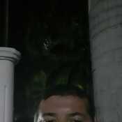 Alisraf938