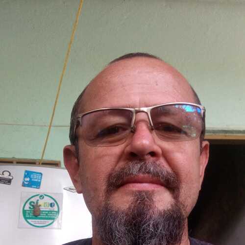 Moisa2011