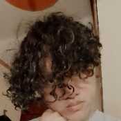 frankreb533