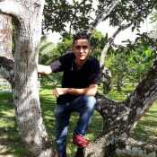 Ander1994
