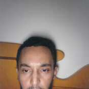 freelib381