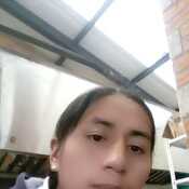 alek2010