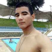 Crieslo
