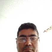 losand736
