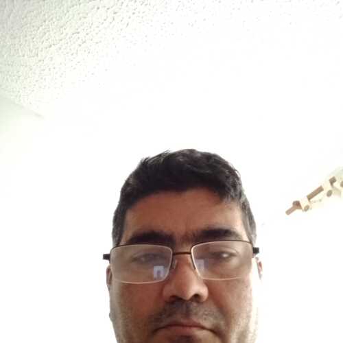 losand736