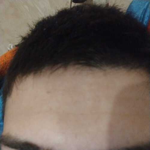 bogadoalejan798