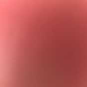 EndearingArtistfhhedj