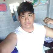 Anfepa2394