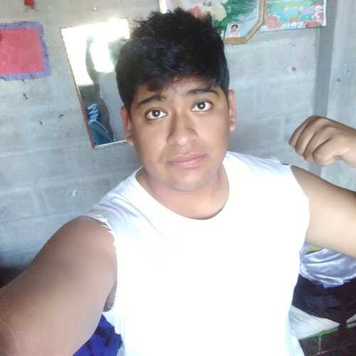 Anfepa2394
