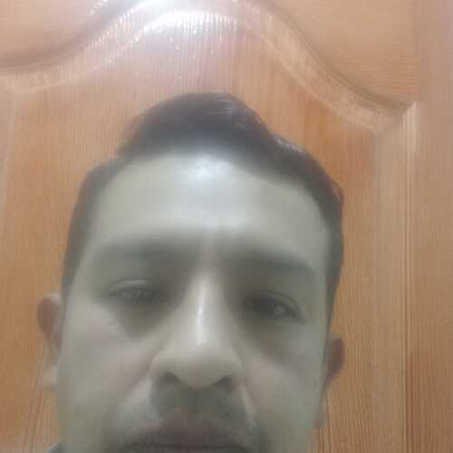 dimart