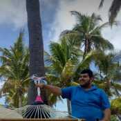AngelM701