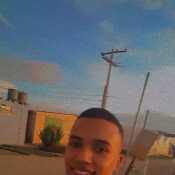 darwins441