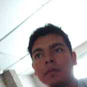 jungracevi734