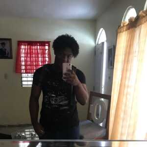 wilime316
