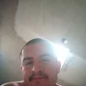 Elburro7