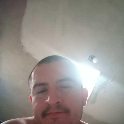 Elburro7