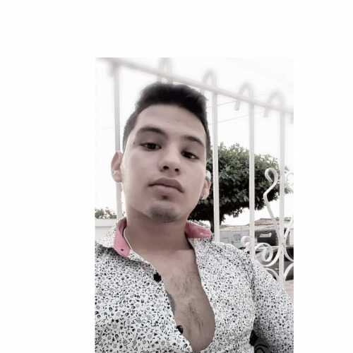 aler456
