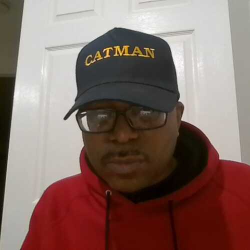 CatmanM