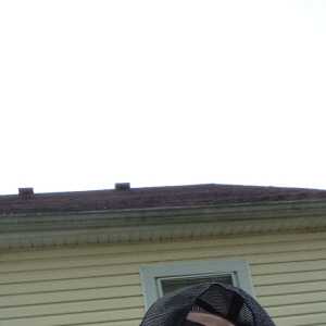 LovingAdventurerghcfgg