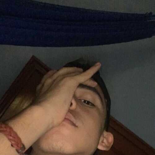 Lucas7133