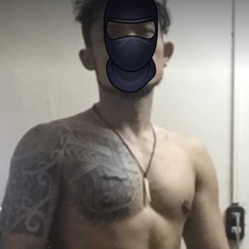 boytoytiger