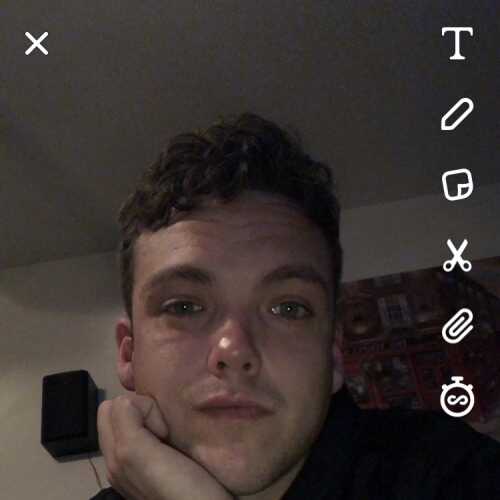 Dwalt19