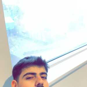 InquisitiveBossbhgffa